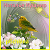 ptichkina