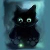 kittyblack  