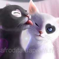 Котик Анастасия 