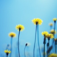 Петров Иван 