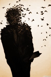 Колесинский Андрей 