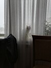 КоиН